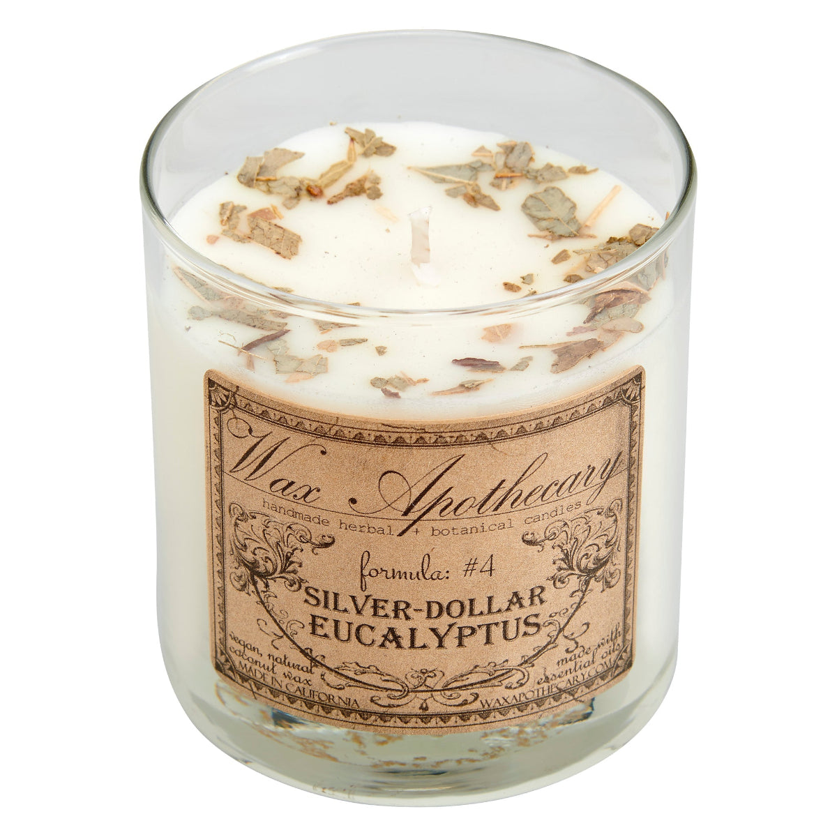 Silver-Dollar Eucalyptus Botanical Candle in Scotch Glass
