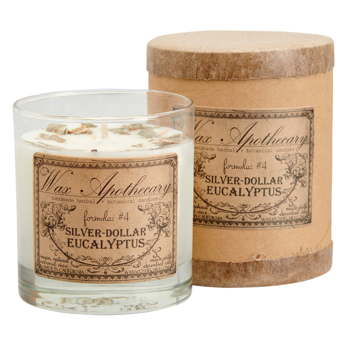 Silver-Dollar Eucalyptus Botanical Candle in Scotch Glass