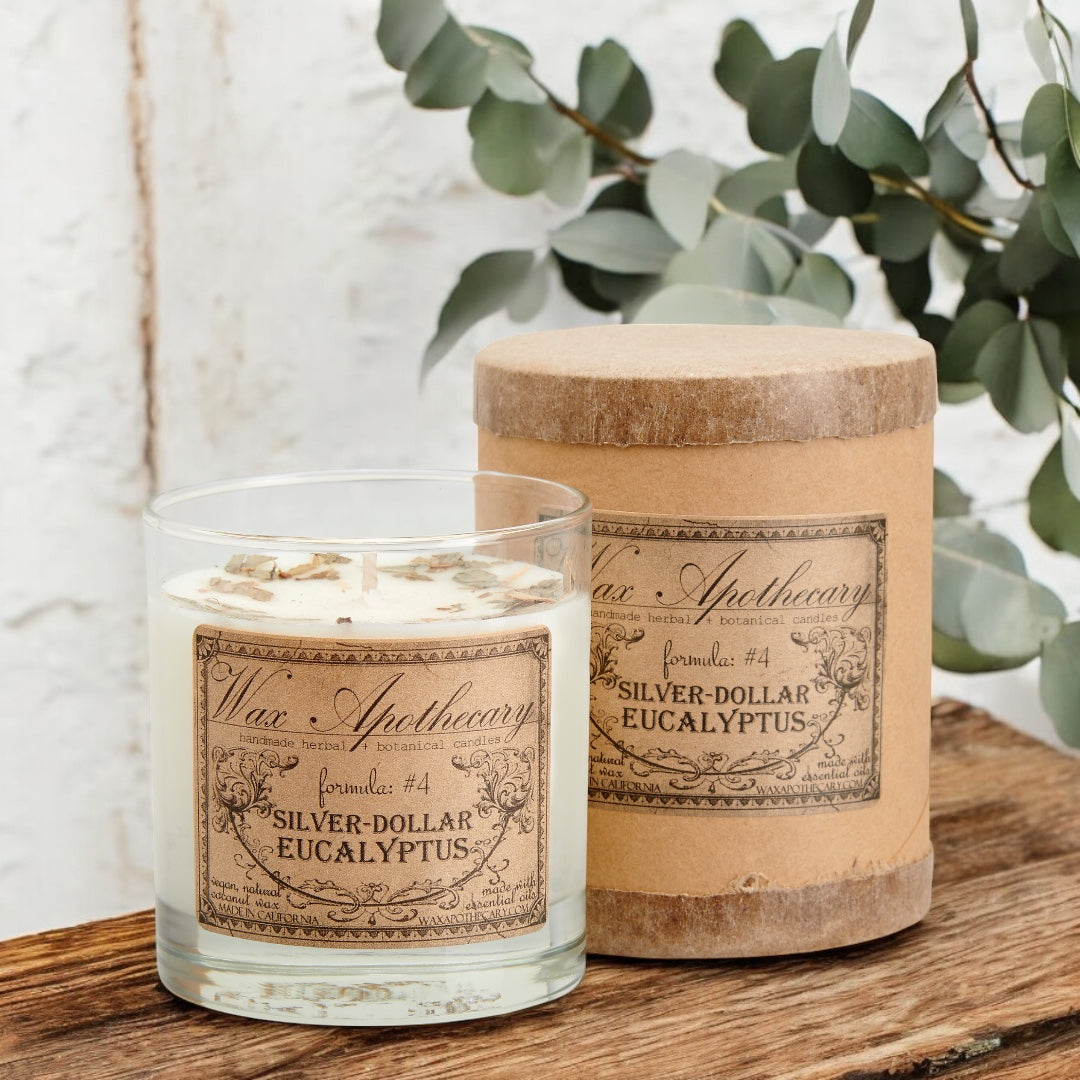 Silver-Dollar Eucalyptus Botanical Candle in Scotch Glass