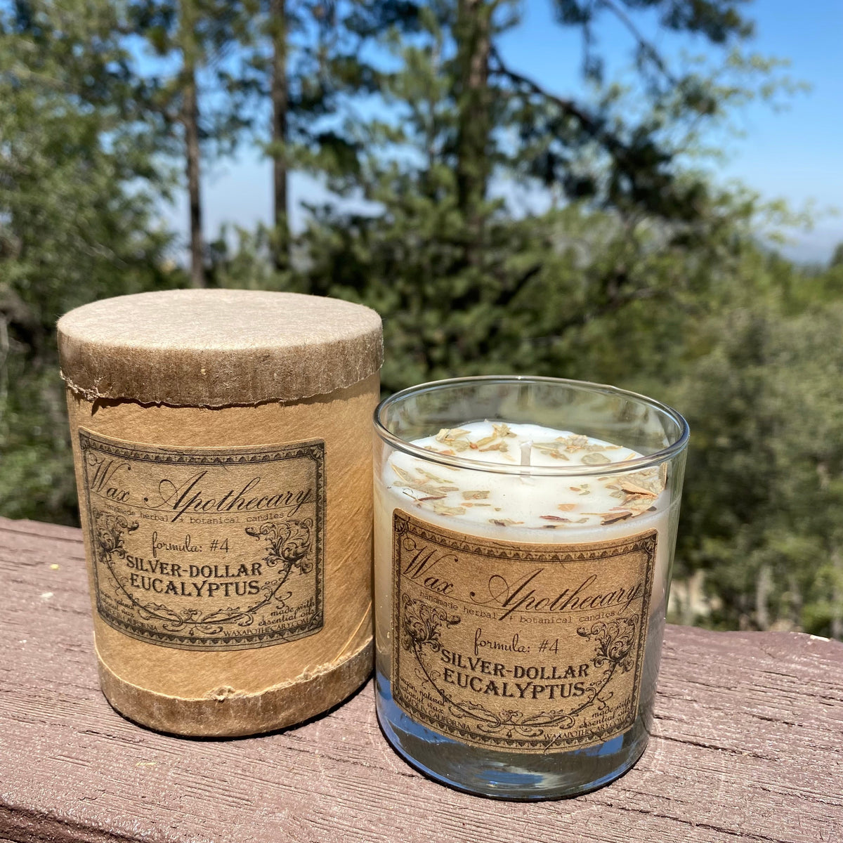 Silver-Dollar Eucalyptus Botanical Candle in Scotch Glass