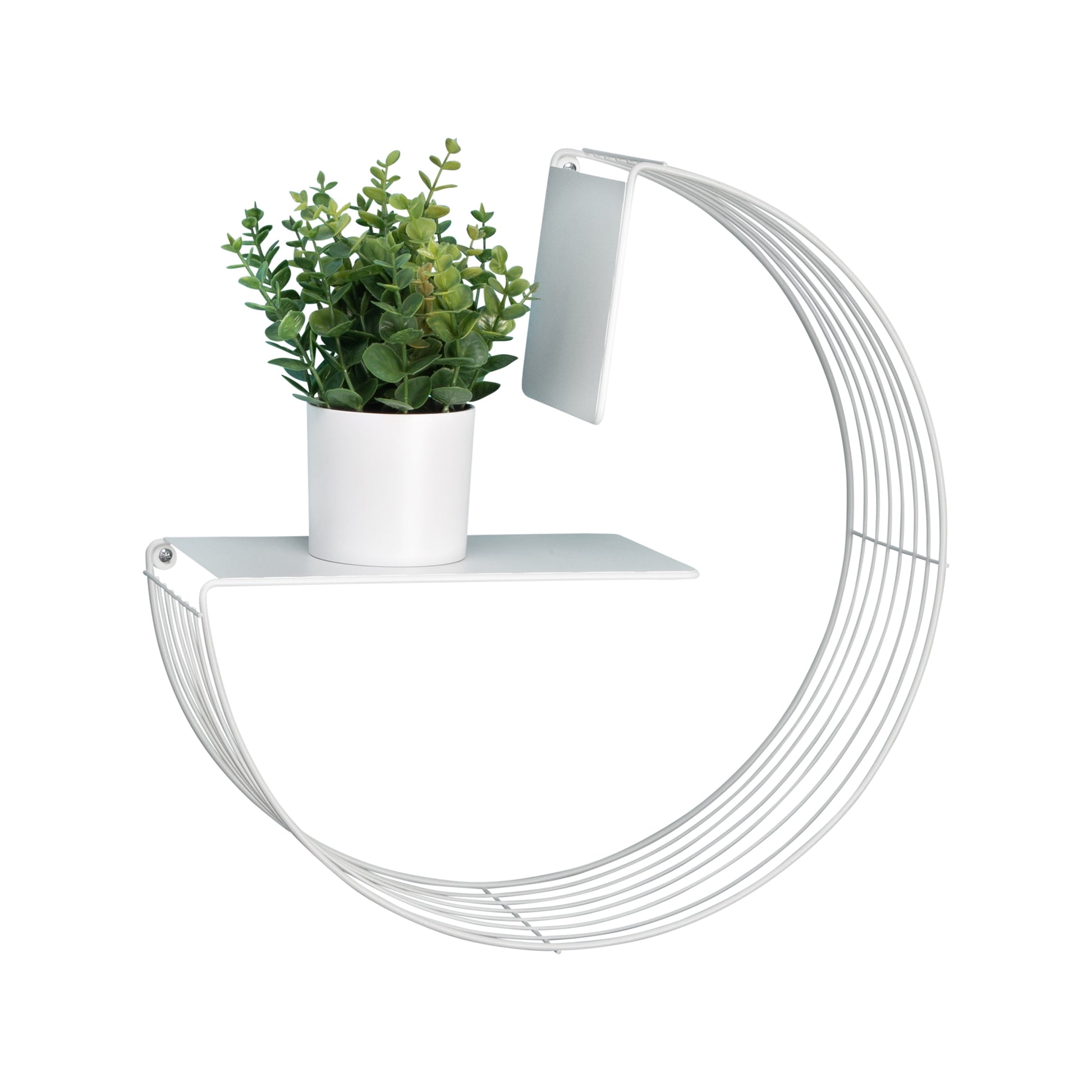 17.7" W X 17.7" H Steel Floating Circular Accent Shelf, White